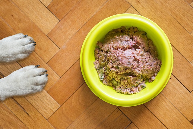 Glutenfri foder: En trend eller en nødvendighed for din hund?